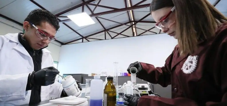 Estudiantes mexicanos desarrollan plástico capaz de diluirse en el agua y ayudar a purificarla Estudiantes mexicanos desarrollan plástico capaz de diluirse en el agua y ayudar a purificarla