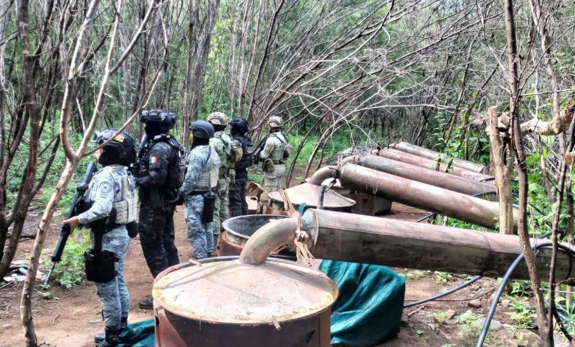 Golpe a laboratorios de droga en Guerrero y Michoacán